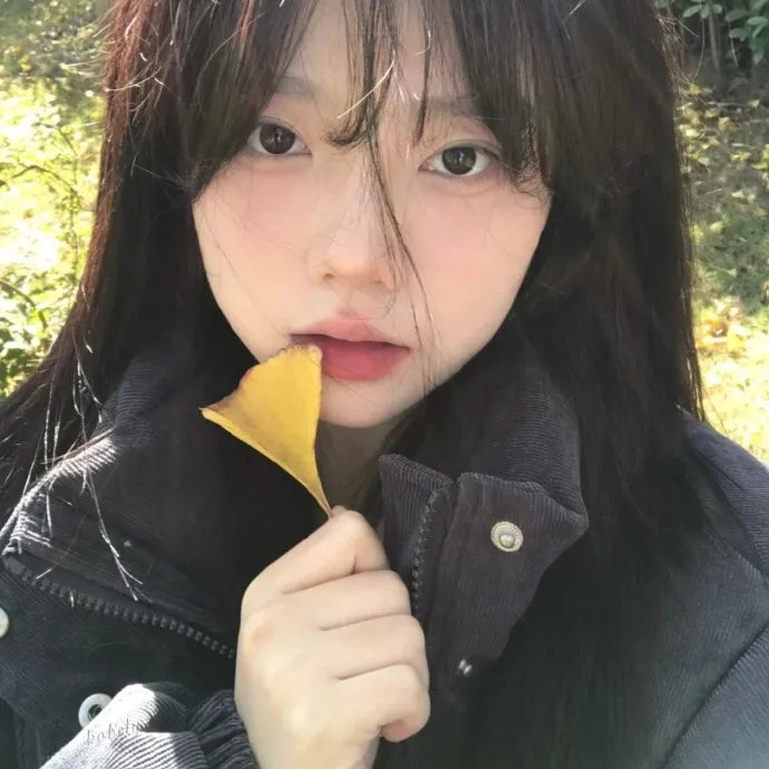 破产姐妹第四季